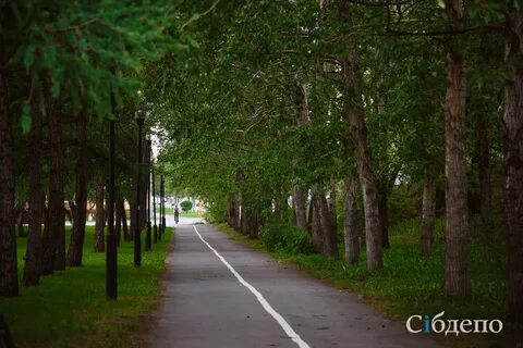 Кузбасский парк кемерово кузбасский парк фото