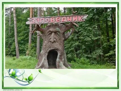 Приокско террасный заповедник находится в зоне