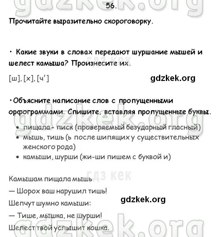 иллюстрация к скороговорке шесть мышат в камыше шуршат. скороговорка камышам пищала мышь. скороговорки на шипящие звуки. скороговорка камышам пищала мышь. скороговорки с шипящими звуками.