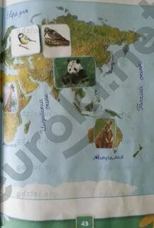 Окружающий мир 2 класс 40 41 страница