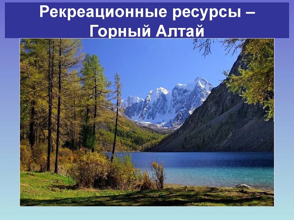 Горы Алтая. Природа. Природа России. Красивые места России.