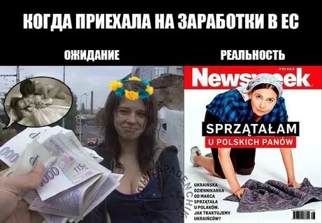 Почему поляки не любят