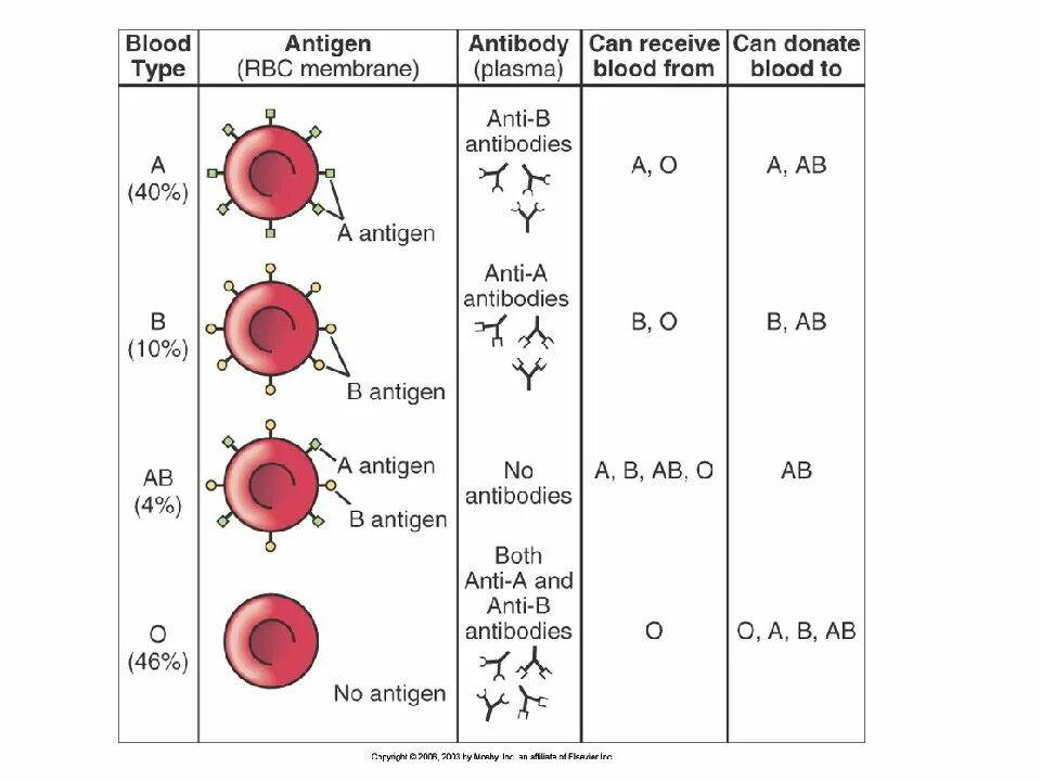 Антигены системы АВО таблица. Резус фактор на эритроците. Антигены эритроцитов системы резус. Группы крови антигены и антитела. Антитела после переливания крови