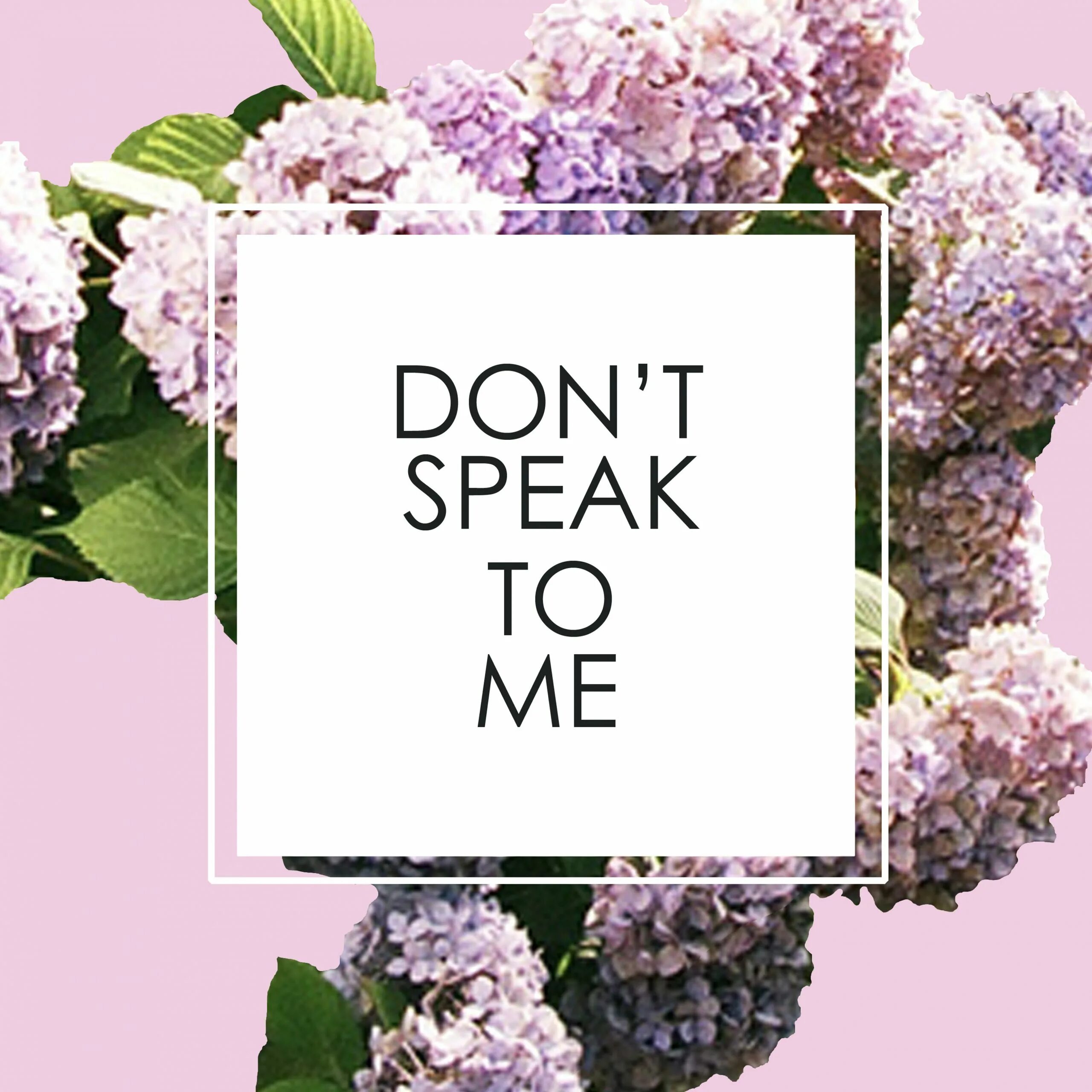 Speak to me. Don't speak. Don't speak don't speak. Don’t speak подкаст. Don't speak арт.