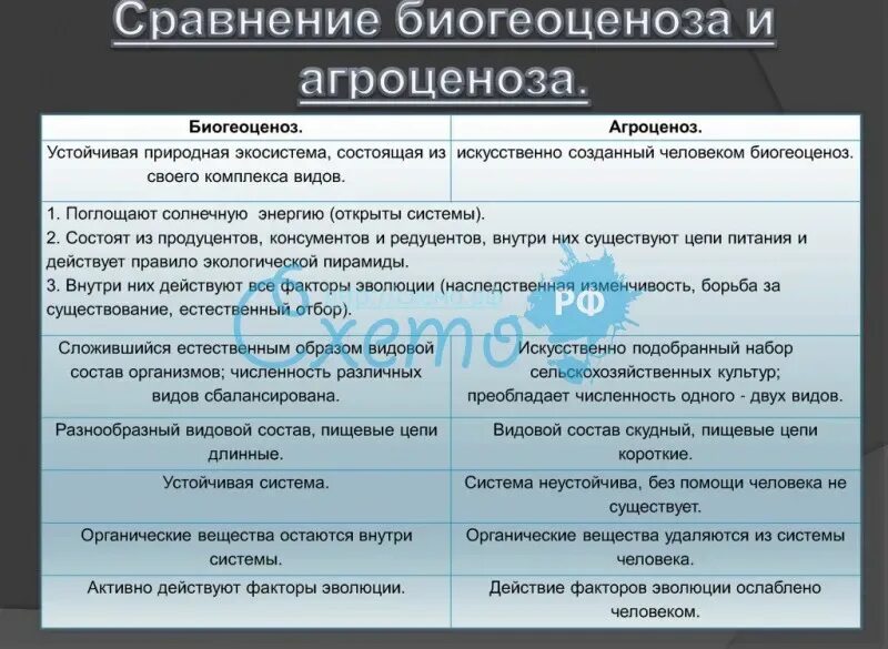 Сходство искусственной