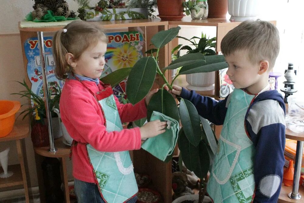 Ученики ухаживали за 2. Ухаживание за растениями в детском саду. Детям о комнатных растениях в детском саду. Комнатные растения для детей. Комнатные растения в садике.