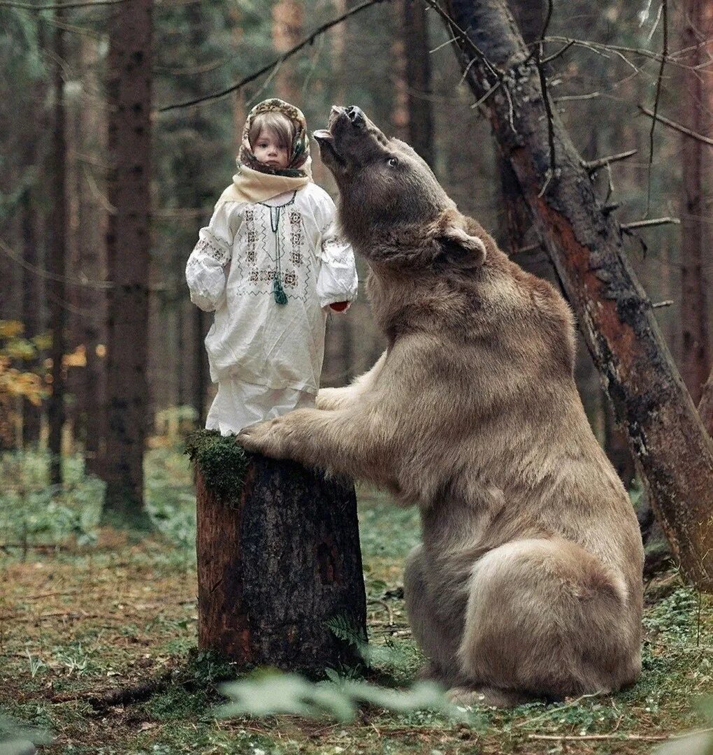 Медведь Россия. Фотосессия с медведем. Добрый медведь.