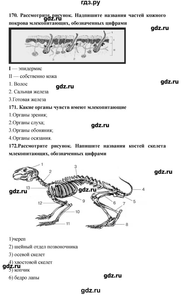 Биологии 9 класс рабочая тетрадь захарова