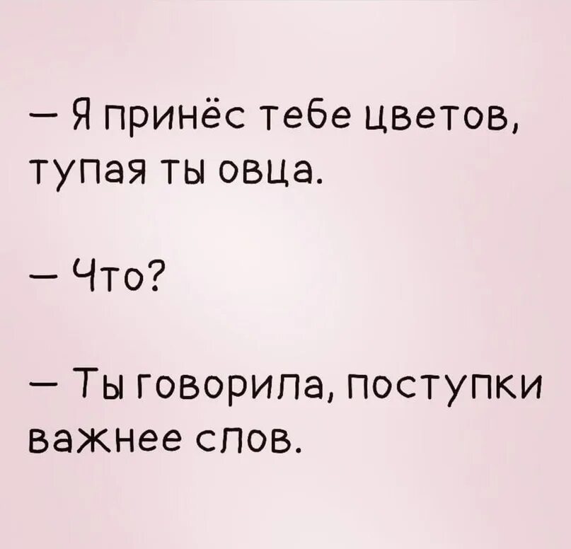 Я принес тебе цветочек. Я принес тебе цветы. Глупый важный