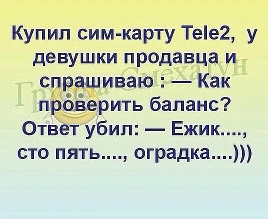 Говорю мужу ответ. Прикол Ежик оградка.