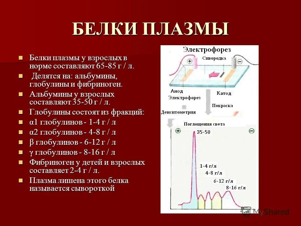 Состав белков плазмы крови входят. Белковый спектр плазмы крови. Белки плазмы крови глобулины. Концентрация белков плазмы крови в норме?. Преципитирующие белки плазмы крови.