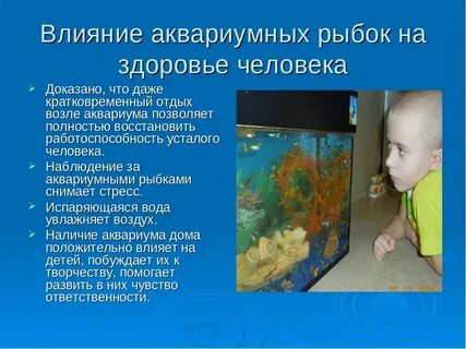 Исследование аквариумных рыбок