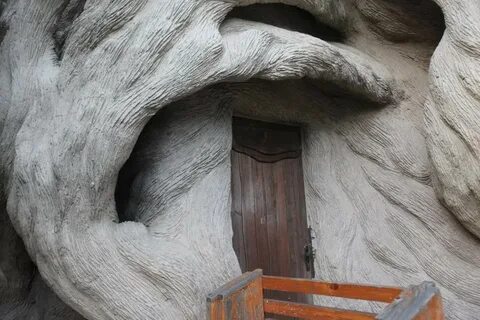 Корень дом