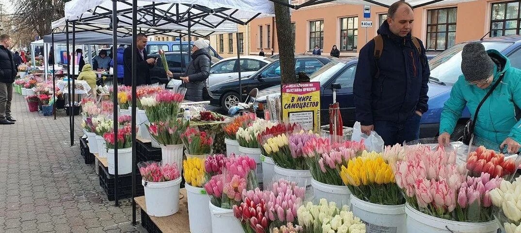 Цветочный рынок на береговой. Торговля тюльпанами. Продажа тюльпанов. Тюльпаны на рынке.