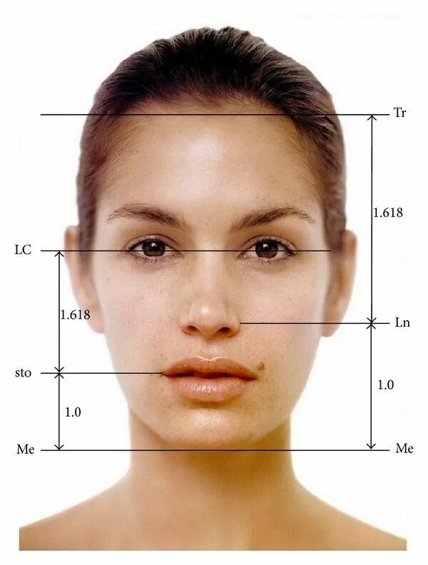 Типажи лица. Facing length. Facing length. Идеальное лицо по золотому сечению. High cheekbones.