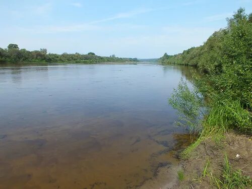 Уровень воды в унже сегодня. Река Унжа Кологрив. Река Унжа Ардабьево. Река Кунож Вологодская область. Река Унжа Вологодская область.