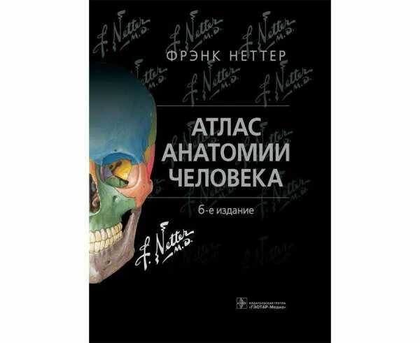 Фрэнк Неттер атлас. Фрэнк Неттер анатомия 6 издание. Фрэнк Неттер атлас анатомии человека. Атлас анатомии человека Фрэнк Неттер 7 издание.