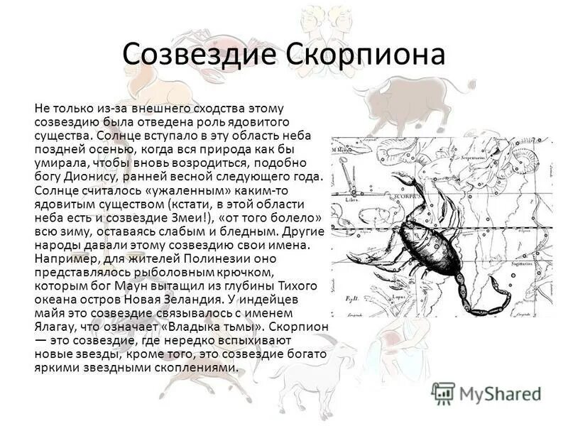 Гороскоп скорпион 2. Созвездие скорпиона краткое сообщение. Скорпион Созвездие обозначение. Созвездие скорпиона Легенда для детей. Зодиакальное Созвездие Скорпион сообщение.