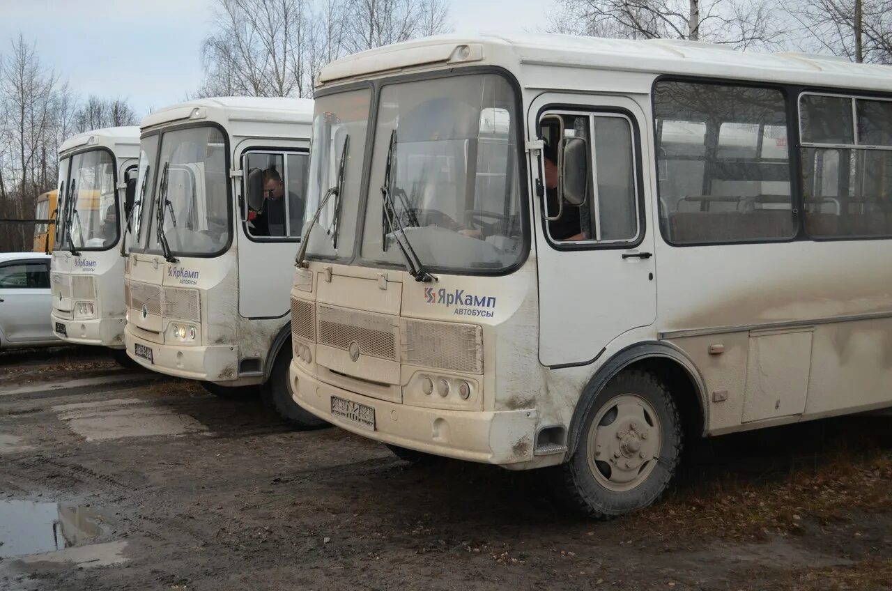 Маршрутки онега. Онегаавтотранс Онега. Автобус Онега. Новый автобус Онега. Автобусы Онега Кянда.