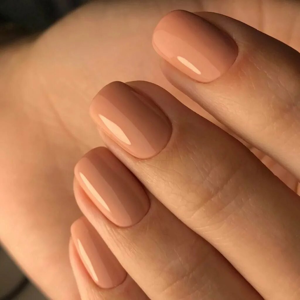 бежевый маникюр на короткие ногти. нежный маникюр на короткие. маникюр на короткие ногти нежные. нюдовый френч на короткие ногти. нюдовый матовый маникюр 2022.