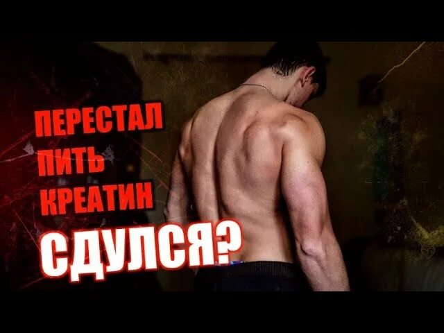 Что будет если перестать есть креатин