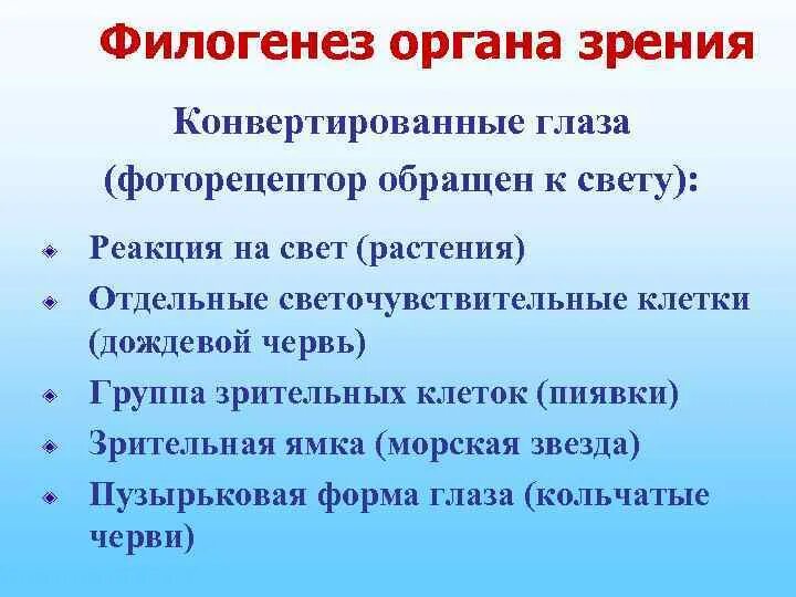 Строение филогенеза. Филогенез. Филогенез органов. Развитие органов чувств в филогенезе. Зрение филогенез.