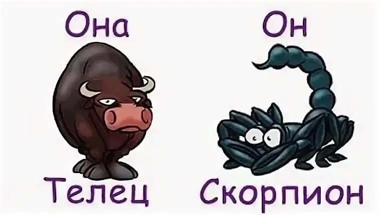 Скорпион любовный сентябрь 2024