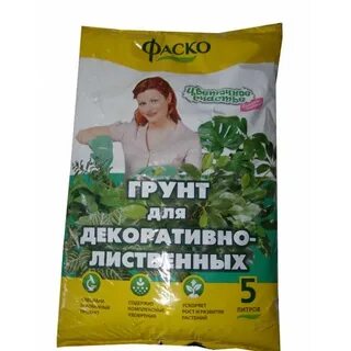 Женский грунт