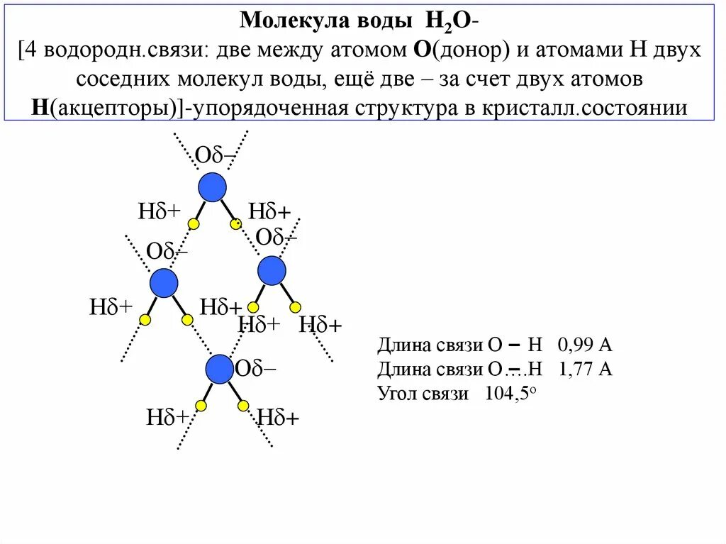 Между молекулами воды существуют связи. Длина химической связи воды. Молекула воды связь между атомами. Связи в молекуле воды. Длина связи в молекуле воды.