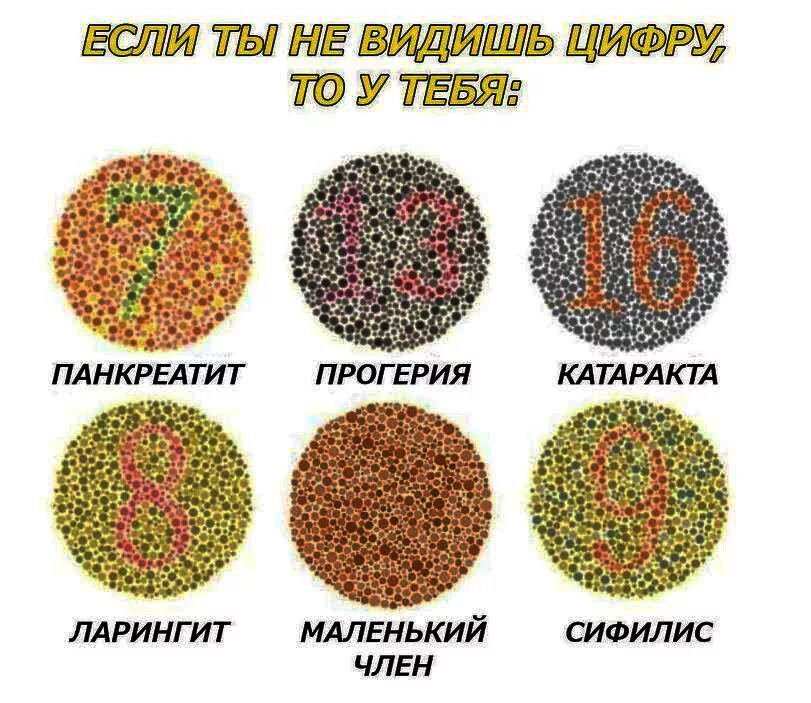 Какой круг вопросов. Тест на зрение. если вы не видите цифрум то. тест на зрение круги. шутки про дальтоников.