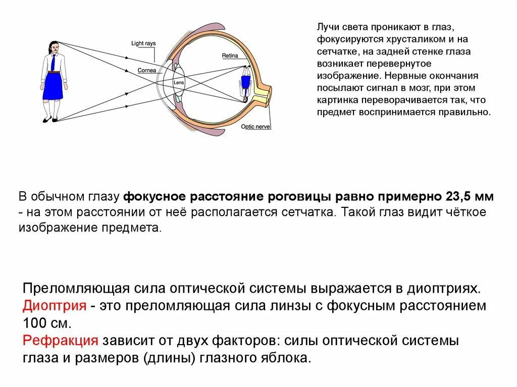 Глаз имеет оптическую силу. Преломляющая сила оптической системы. Преломляющая сила оптической системы глаза. Оптическая система глаза диоптрии. Преломляющая сила оптической линзы.