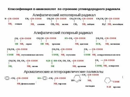 Радикал 20