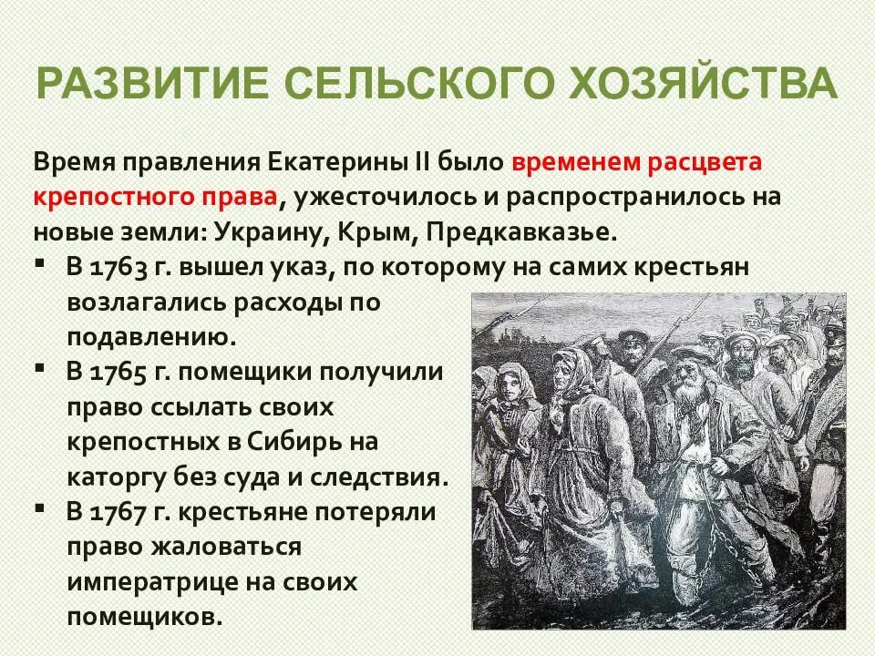 Урок экономическое развитие россии при екатерине 2. Экономическое развитие России при Екатерине 2 сельское хозяйство. Развитие сельского хозяйства при Екатерине. Развитие сельского хозяйства при Екатерине II.