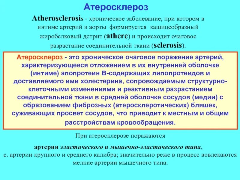 При атеросклерозе поражаются. При атеросклерозе поражаются артерии. какие сосуды поражаются при атеросклерозе. пр атеросклерозе поражают я. при атеросклерозе поражаются артерии типа.