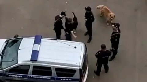 В иркутске зарезали мальчика