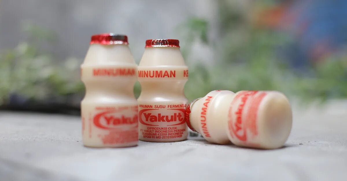 Yakult brothers team tidebound. Йогурт якульт. yakult бады. yakult напиток. korea yakult.