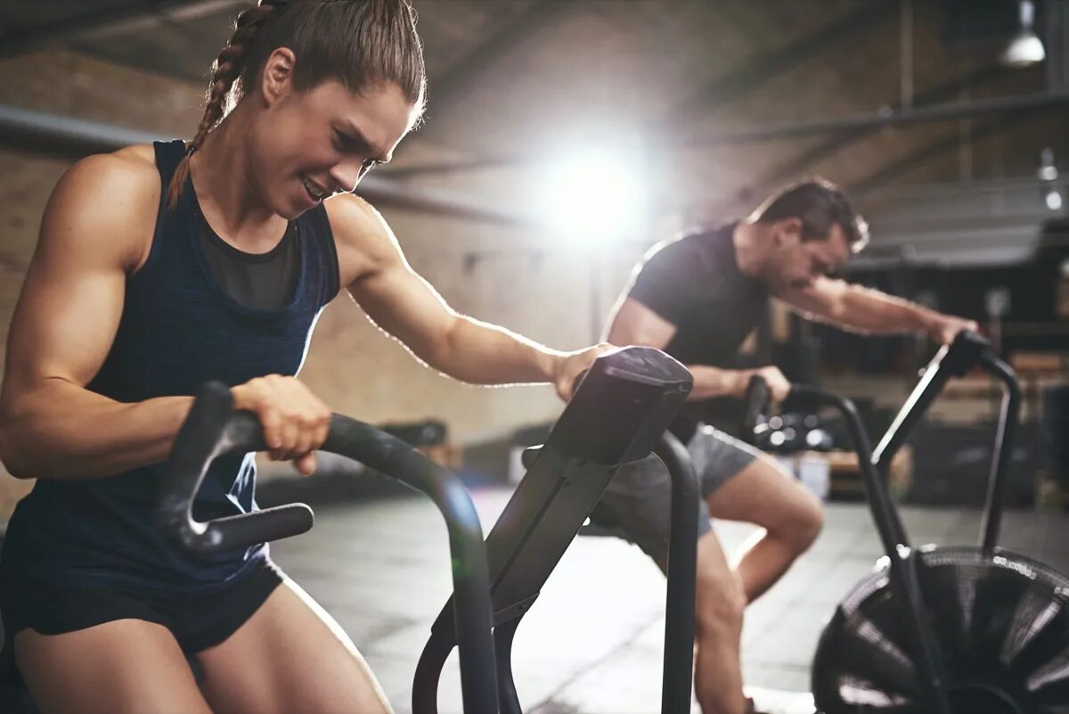 Lead in exercise