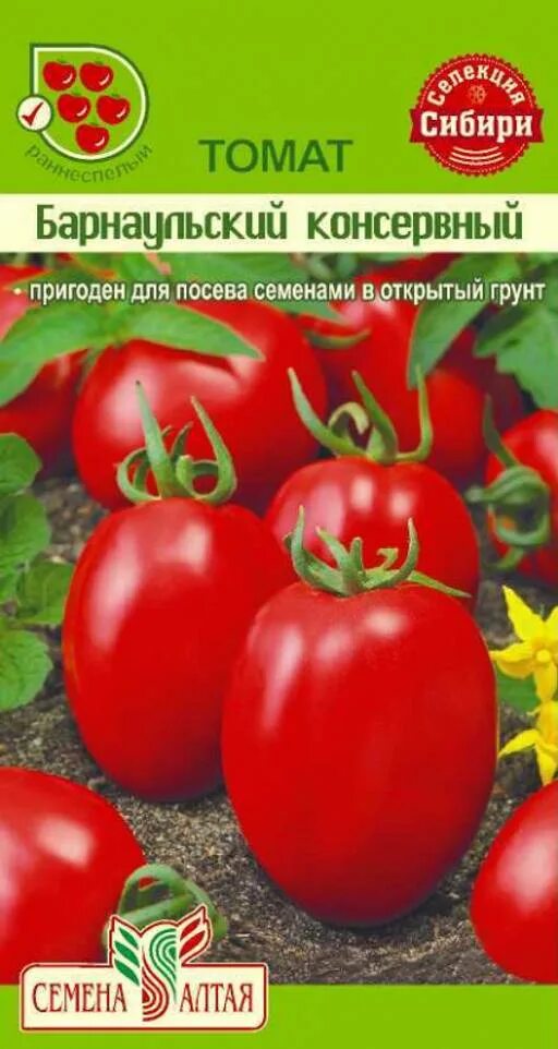 Томаты сорт алтай. Томат барнаульский консервный семена алтая. семена алтая низкорослые сорта томаты. томат сорт барнаульский консервный. семена томатов барнаульский консервный.