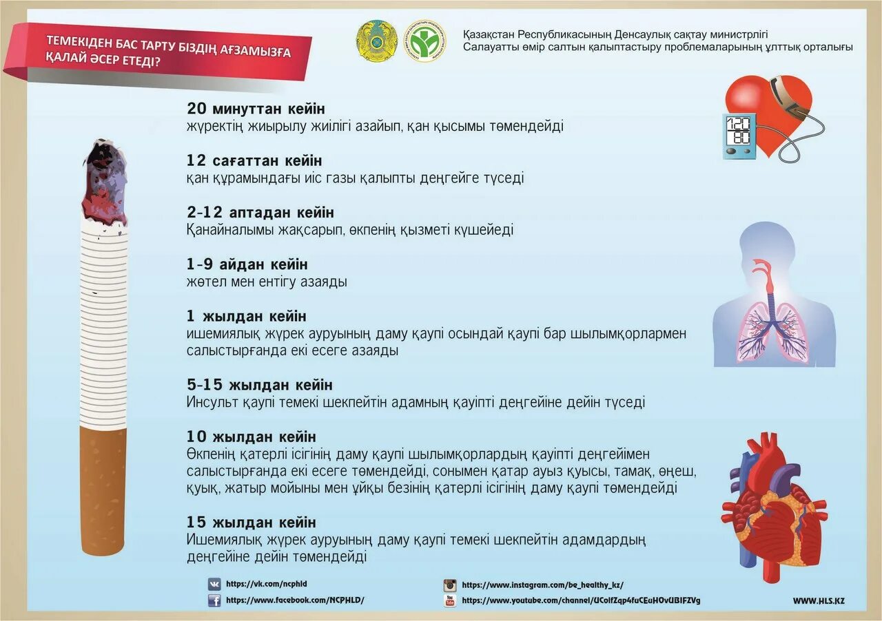 Причины отказа от алкоголя. Изменения в организме после отказа от курения. Отказ от вредных привычек. Влияние отказа от курения на организм. Влияние курения на нервную и сердечно-сосудистую систему.