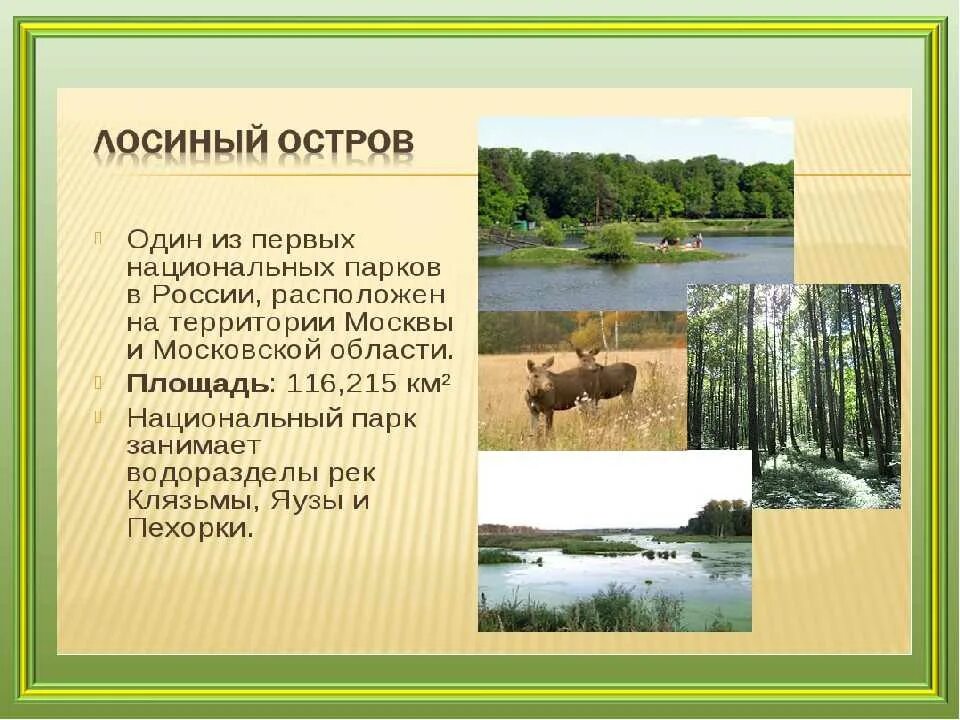 Первый национальный парк на территории россии. Национальный парк Лосиный остров рассказ. Национальные парки России Лосиный остров. Проект национальные парки Лосиный остров. CJJ,otybt j pfgjdtlybrf[ b yfwbjyfkmys[ gfhrf[.