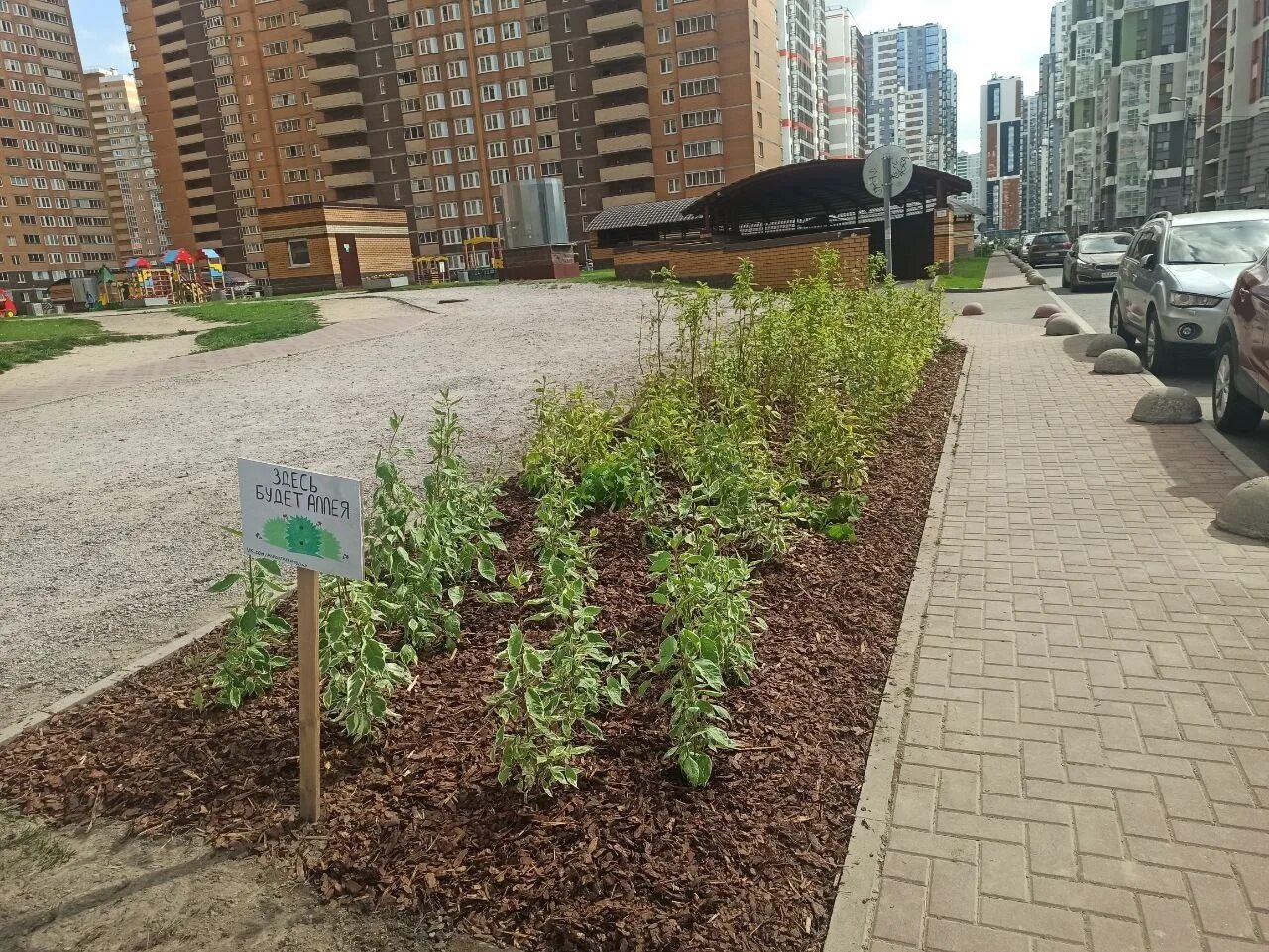 Акция озеленение. Городское озеленение. озеленение города. дзержинск городское озеленение.