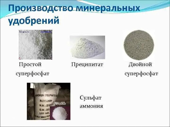 Минерал для производства фосфорной кислоты. Фосфорные минеральные удобрения. Фосфорит минерал формула. Минерал для производства фосфорной кислоты. Фосфорные удобрения химия.
