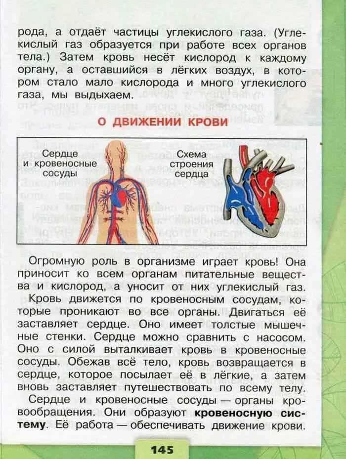 Дыхание и кровообращение вопросы. Окружающий мир 3 класс учебник Плешаков тема организм человека. Окружающий мир 3 класс учебник 2 часть стр 144-145. Окружающий мир 3 класс учебник Плешаков организм человека. Система органов человека 3 класс окружающий мир Плешаков.