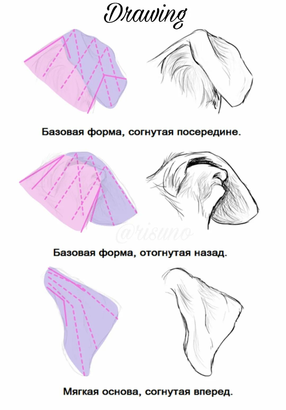 Ушки туториал. Уши собаки референс. собачьи уши туториал. собачьи висячие уши референс. собачьи уши для рисования.