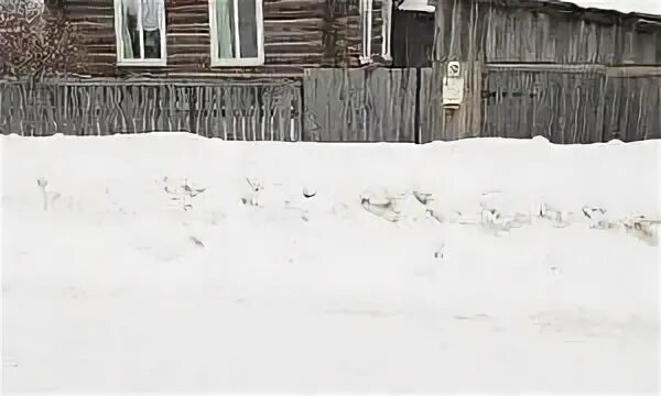 Погода в кезу на 2 недели удмуртия. Посёлок кез ул комсомольская. деревня кездур удмуртия. дом в кездуре. поселок кез купание.