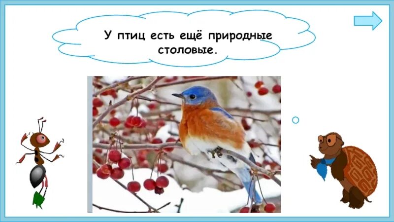 Как помочь птицам зимой 1 класс. Птицы как проверить ы на конце. как помочь птицам зимой 1 класс окружающий мир тест с ответами. спасибо алисочка я теперь больше знаю о птицах. отметь многозначные слова учи ру снегирь синица река рукавица.