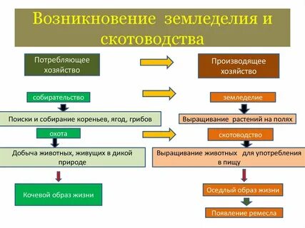Скотоводство производящее хозяйство