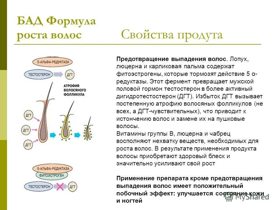 Гормон роста волос. Гормон роста волос на теле. Гормоны для роста волос на голове. Гормон отвечающий за рост волос.