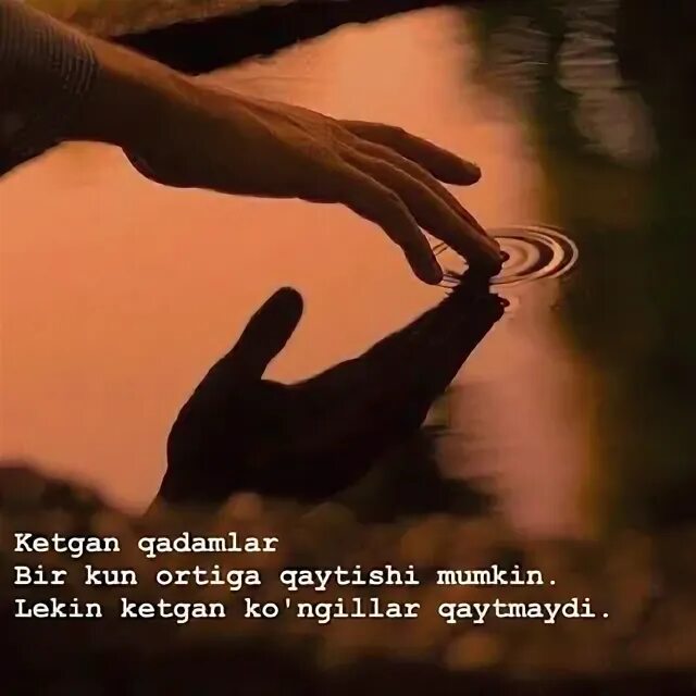 Bir kam dunyo. Qalbim farishtasi. bir kam dunyo status. bir kam dunyo фон.