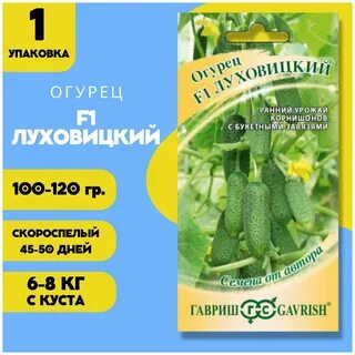 Описание луховицких огурцов
